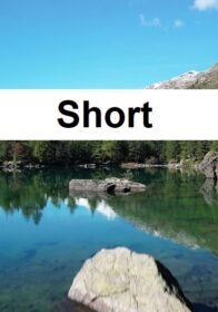 New Just Short